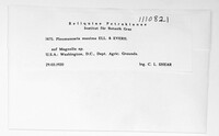 Image Associated With the Occurence